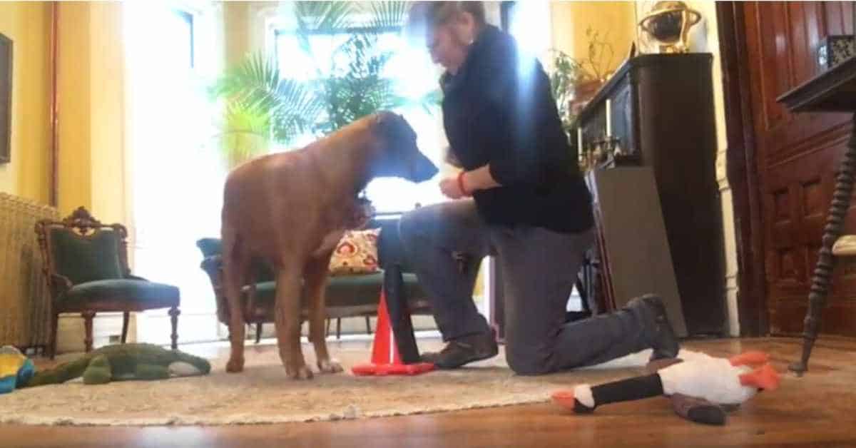 Featured image for “Initial Tips for Nail File Scratch Boards”