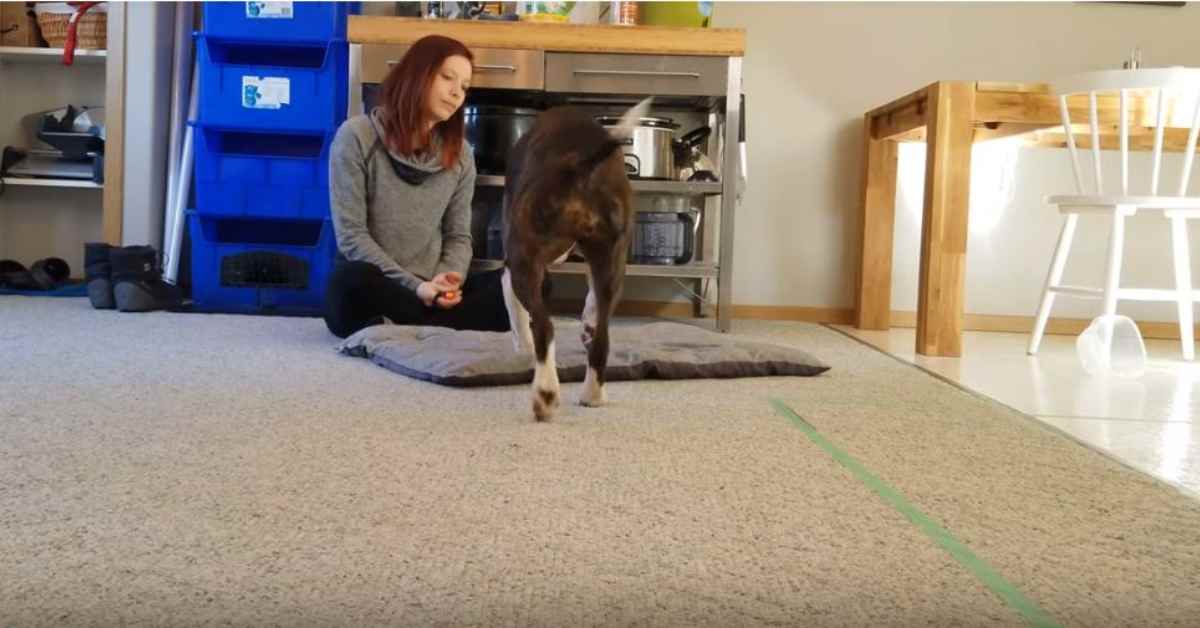 Featured image for “Settle on a Mat – Step 2”