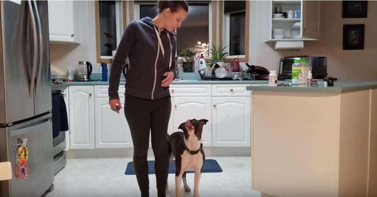 Featured image for “Teaching Heel Position Using Hand Targeting”