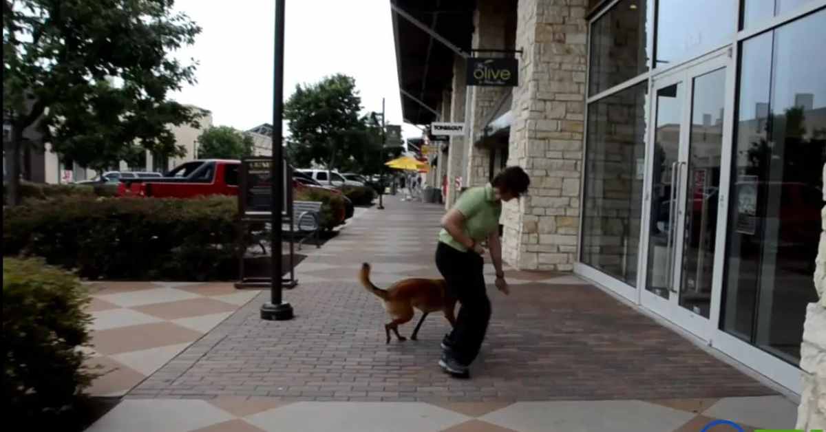 Featured image for “Touch Training”