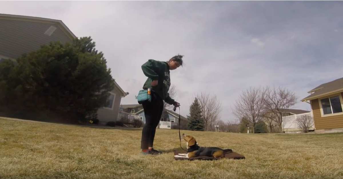 Featured image for “Stay- Duration and Distractions”