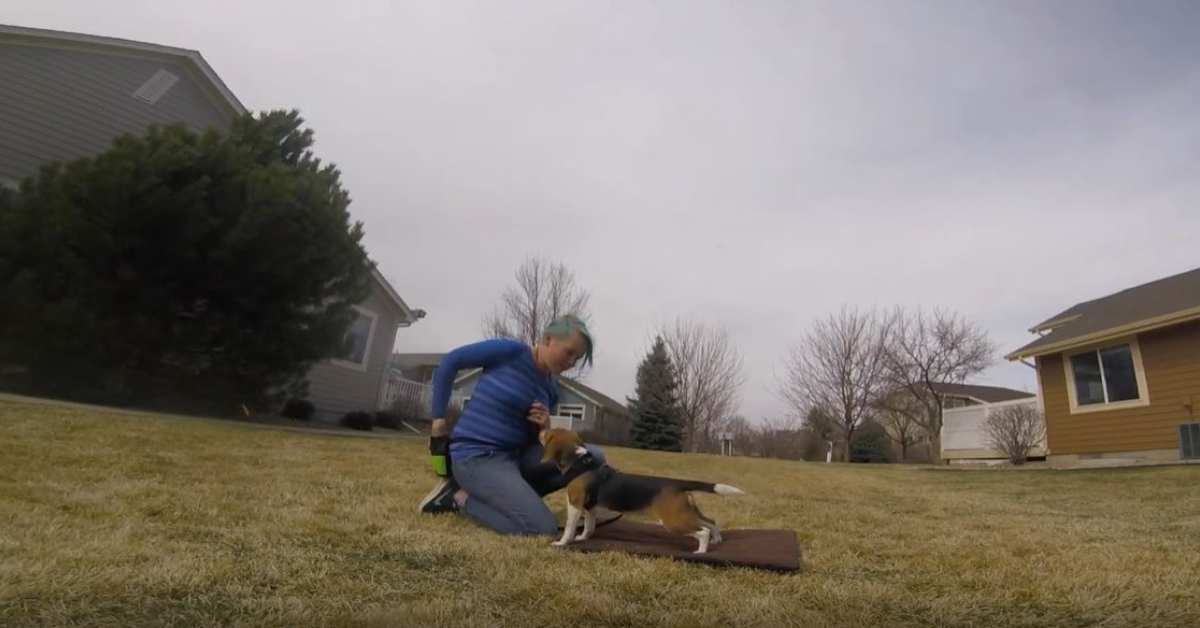 Featured image for “Stand”