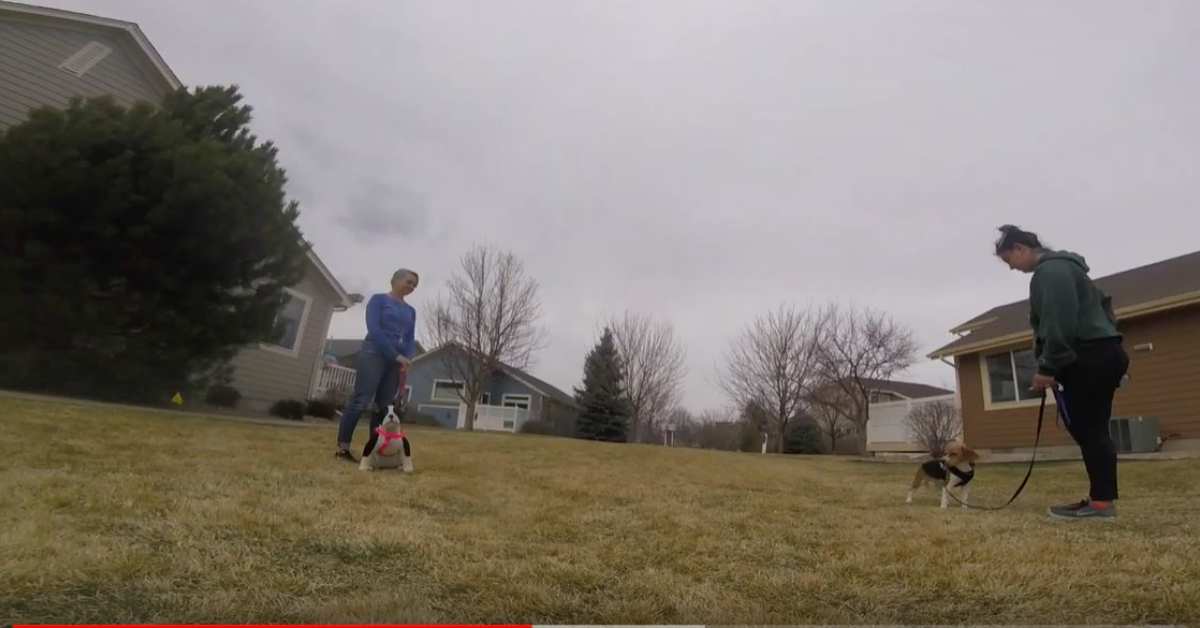 Featured image for “Look at That!”