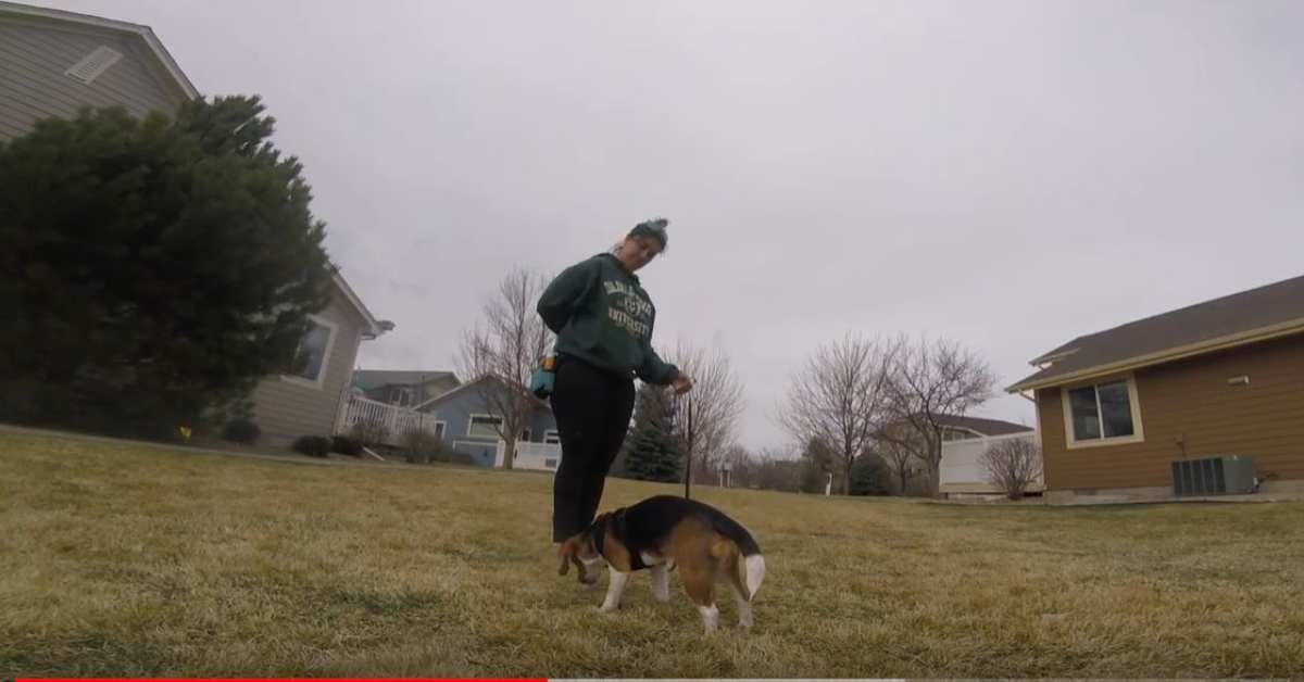 Featured image for “Find It!”