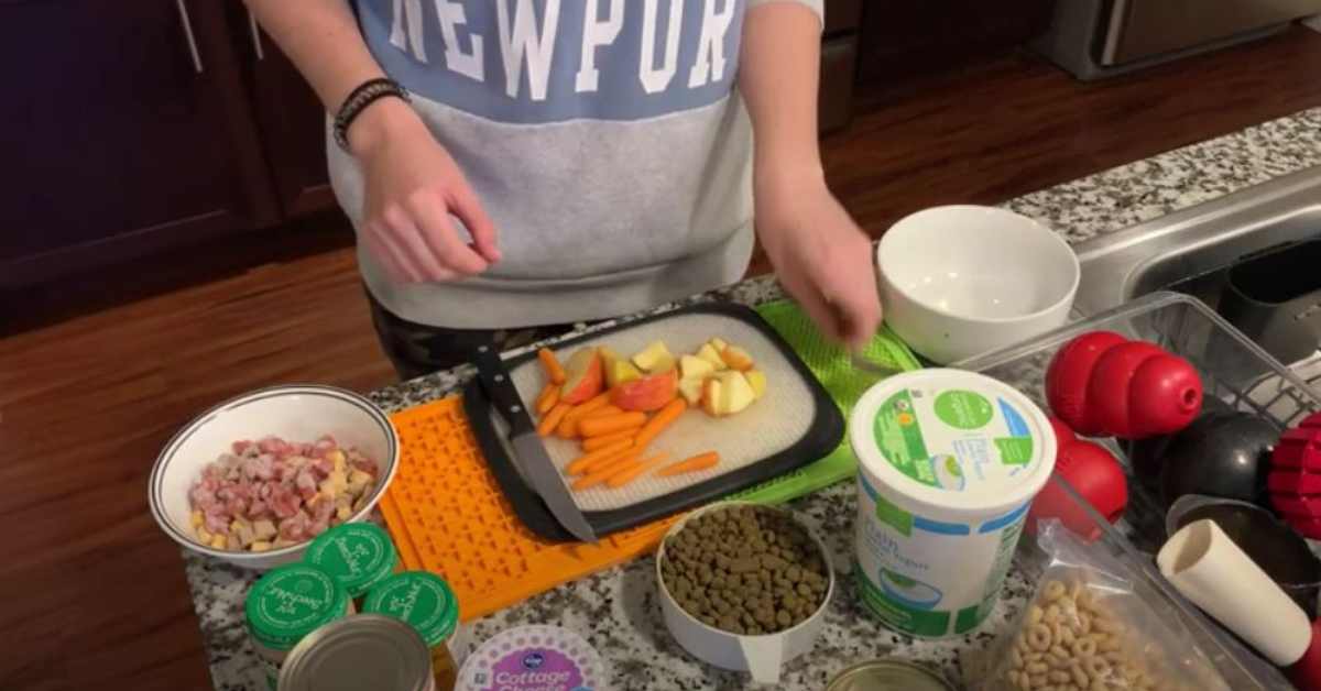 Featured image for “How to Stuff a Kong for Your Dog”