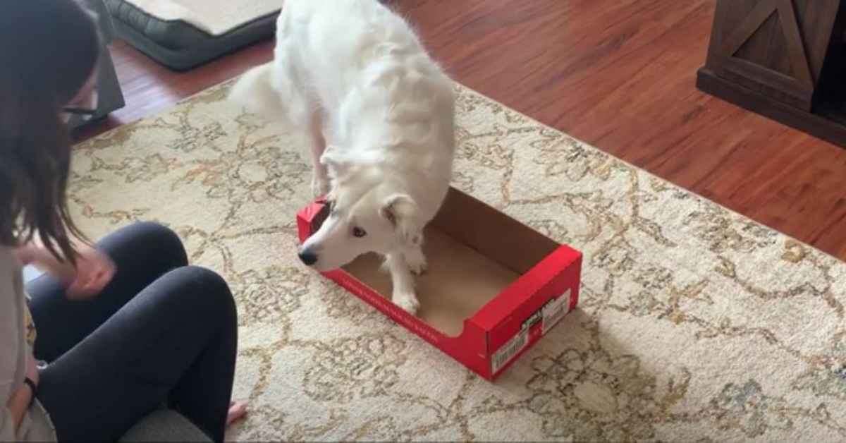 Featured image for “Simple Shaping Games”