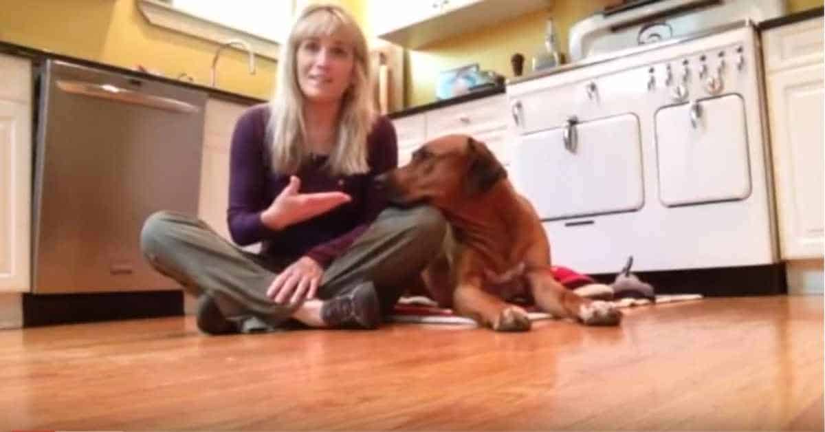 Featured image for “Chin Rest Behavior: Session 1”