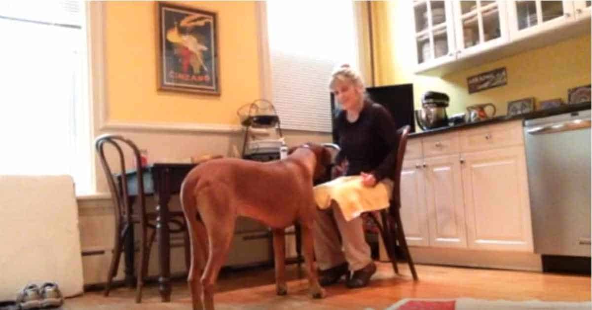 Featured image for “Chin Rest: Session 2 (Ear Care)”