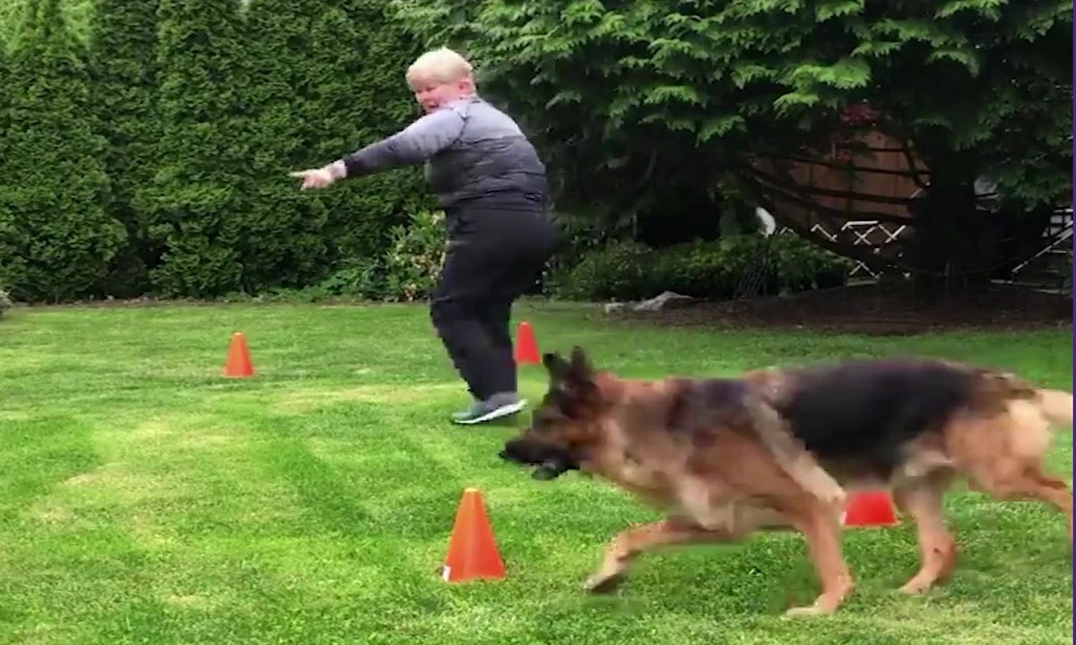 Featured image for “Teaching a Go-Around Behavior”