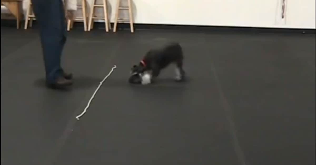 Featured image for “Wait at a Boundary- Level 1”