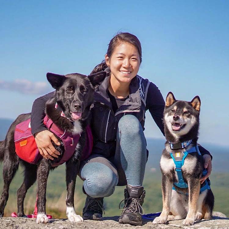 Foundations-Immersion Course