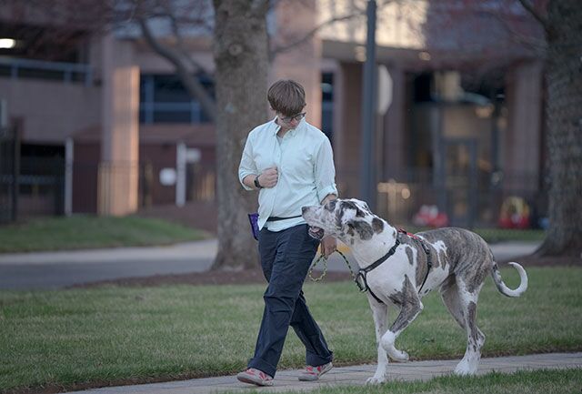 animal-training-classes-clicker-training-karen-pryor-dog-trainer-professional