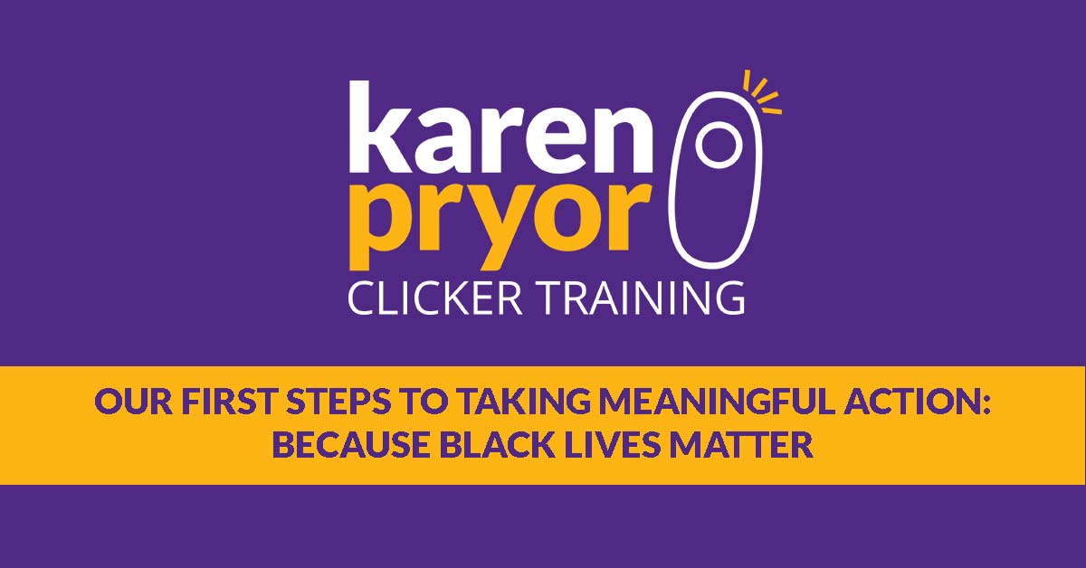 Featured image for “Our First Steps to Taking Meaningful Action: Because Black Lives Matter”