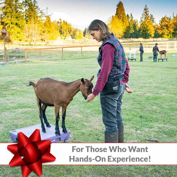 For Those Who Want Hands-On Experience