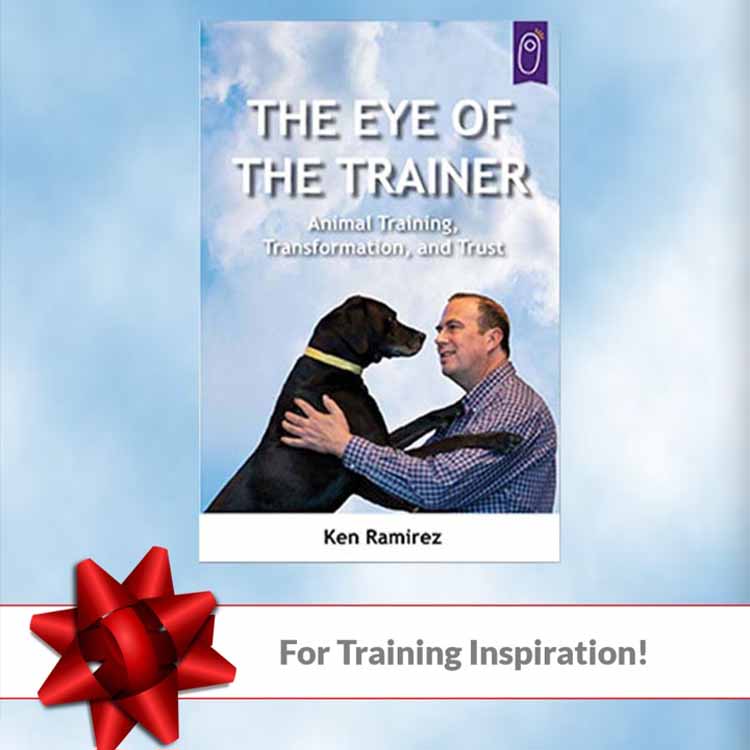 For Training Inspiration