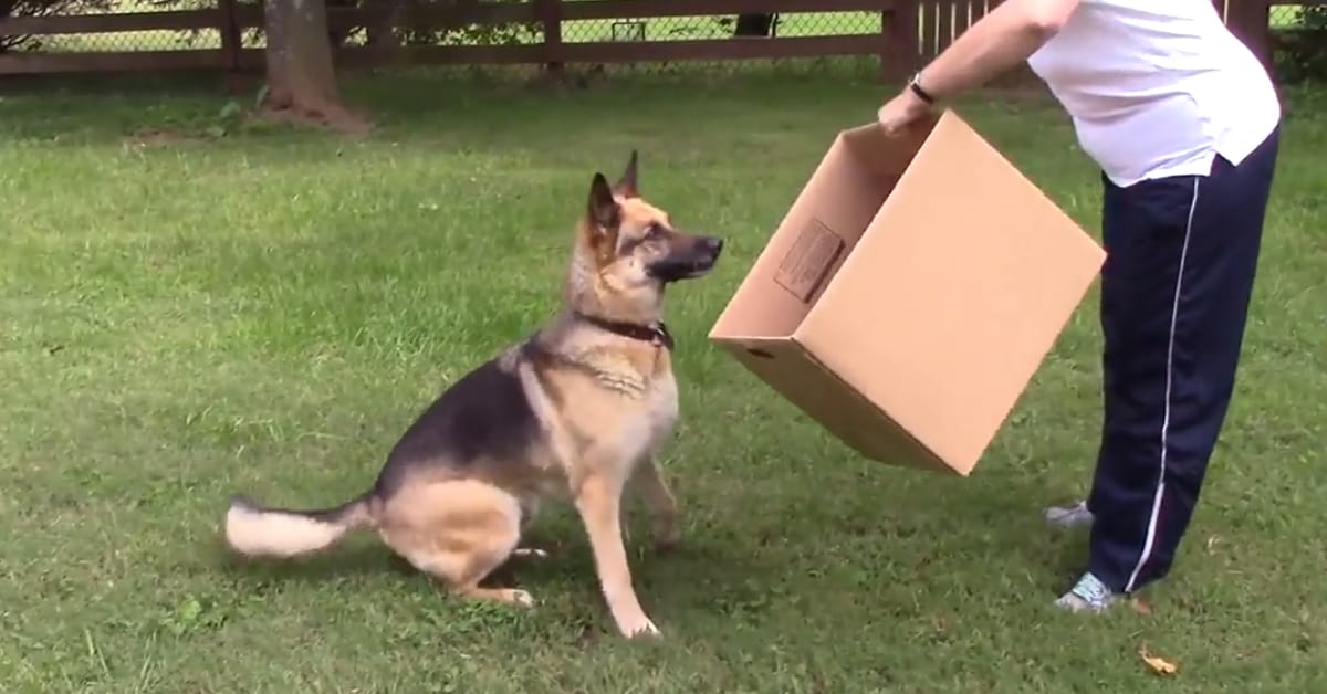 Featured image for “The Shaping Game”