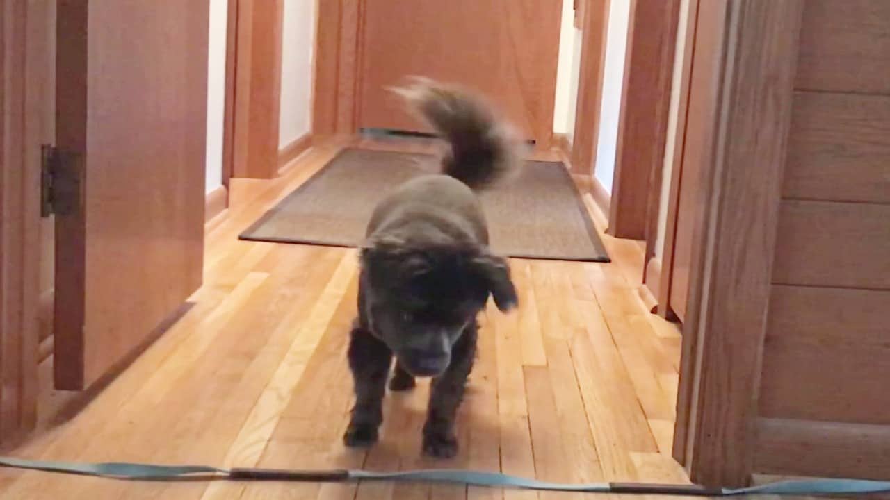 Featured image for “Wait at a Boundary: Part 1”