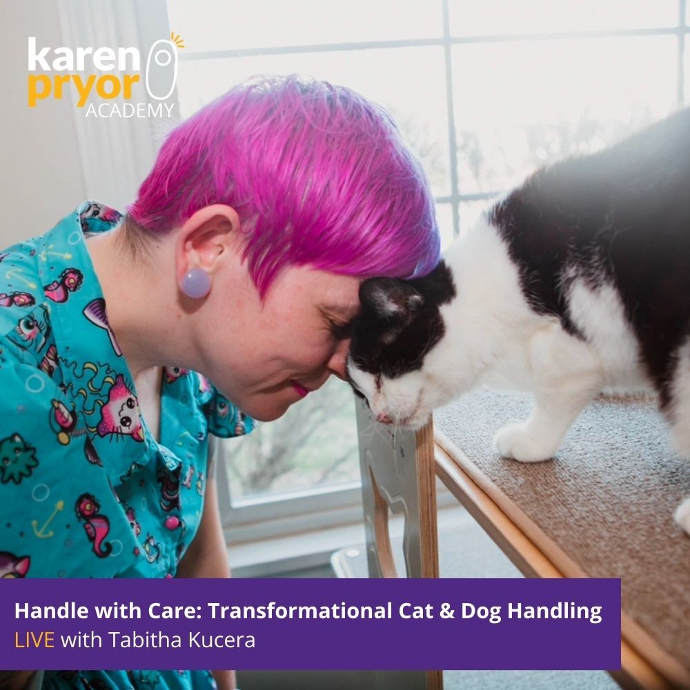 Handle with Care - Transformational Cat & Dog Handling LIVE with Tabitha Kucera