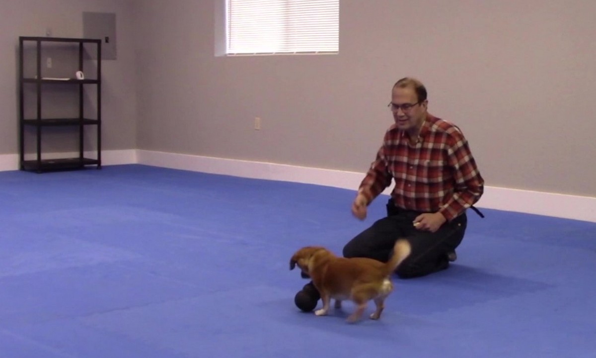 Featured image for “How to Capture a Behavior”