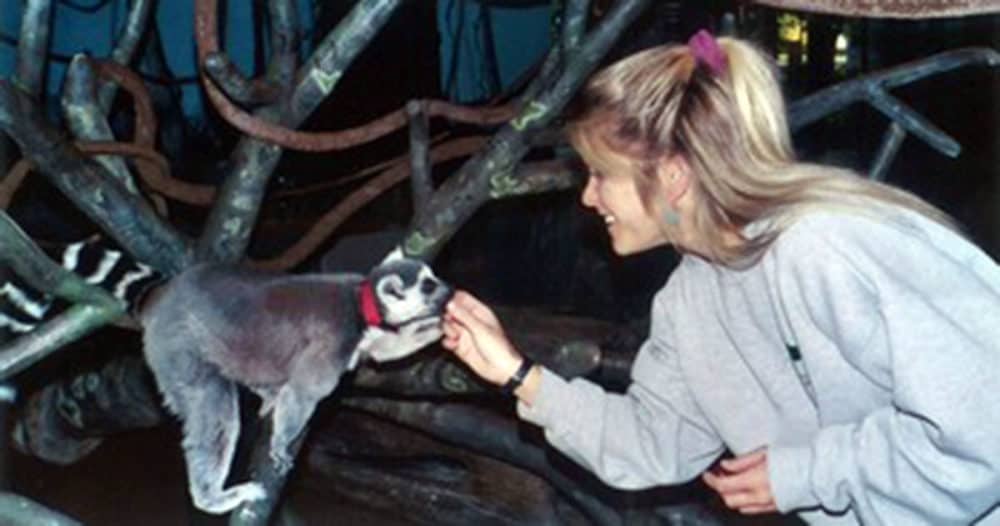 Instructor Laura Monaco Torelli of Karen Pryor Academy runs the (KPA) DTP Dog Trainer Professional Program in Chicago IL