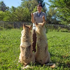 karen-pryor-academy-clicker-training-classes-faculty-erin-topp