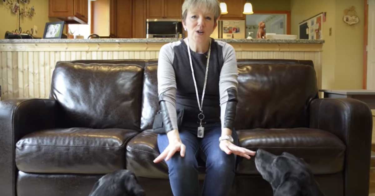 Featured image for “Train Two Dogs at the Same Time”