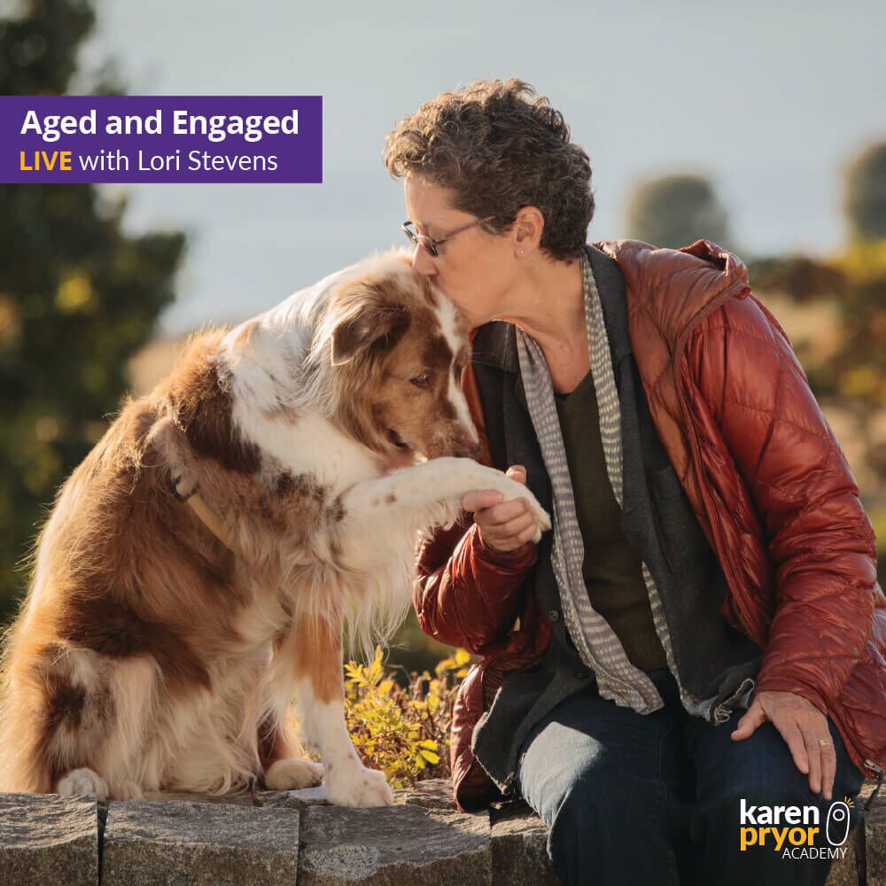 KPA Aged and Engaged Learn with Lori Stevens