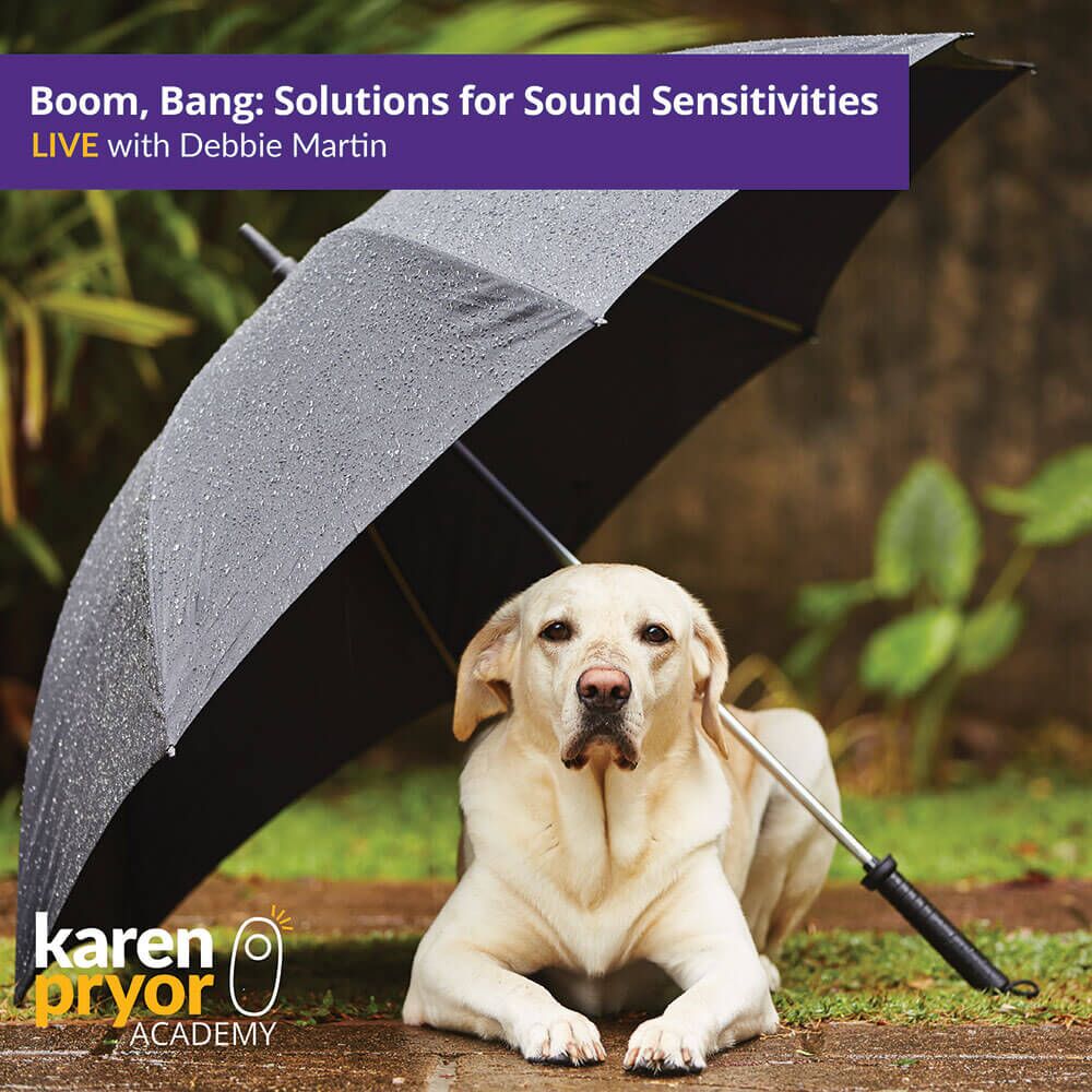 KPA-Live-Class-Boom-Bang-Solutions-for-Sound-Sensitivities-1000x1000