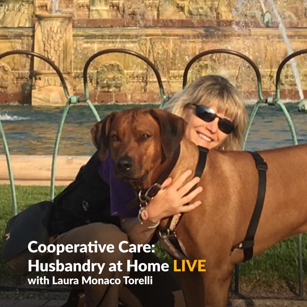 KPA-LIVE!-Class-covers-Cooperative-Care-Laura-Monaco-Torelli-Learn-1000x1000