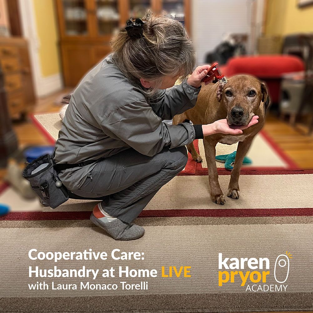 KPA-LIVE-Class-covers-Cooperative-Care-Laura-Monaco-Torelli-Learn-with-logo-1000x1000