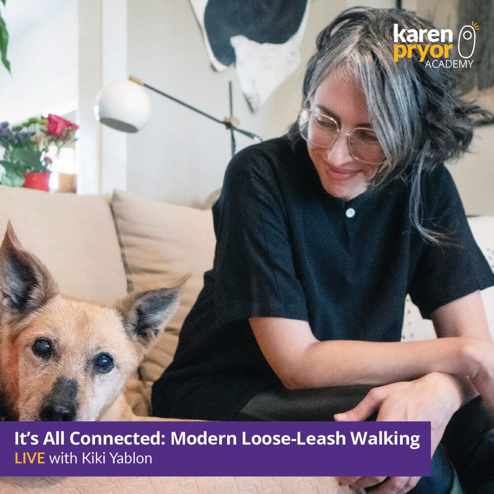 KPA-Live-Class Its All Connected Modern Loose Leash Walking LIVE with Kiki Yablon