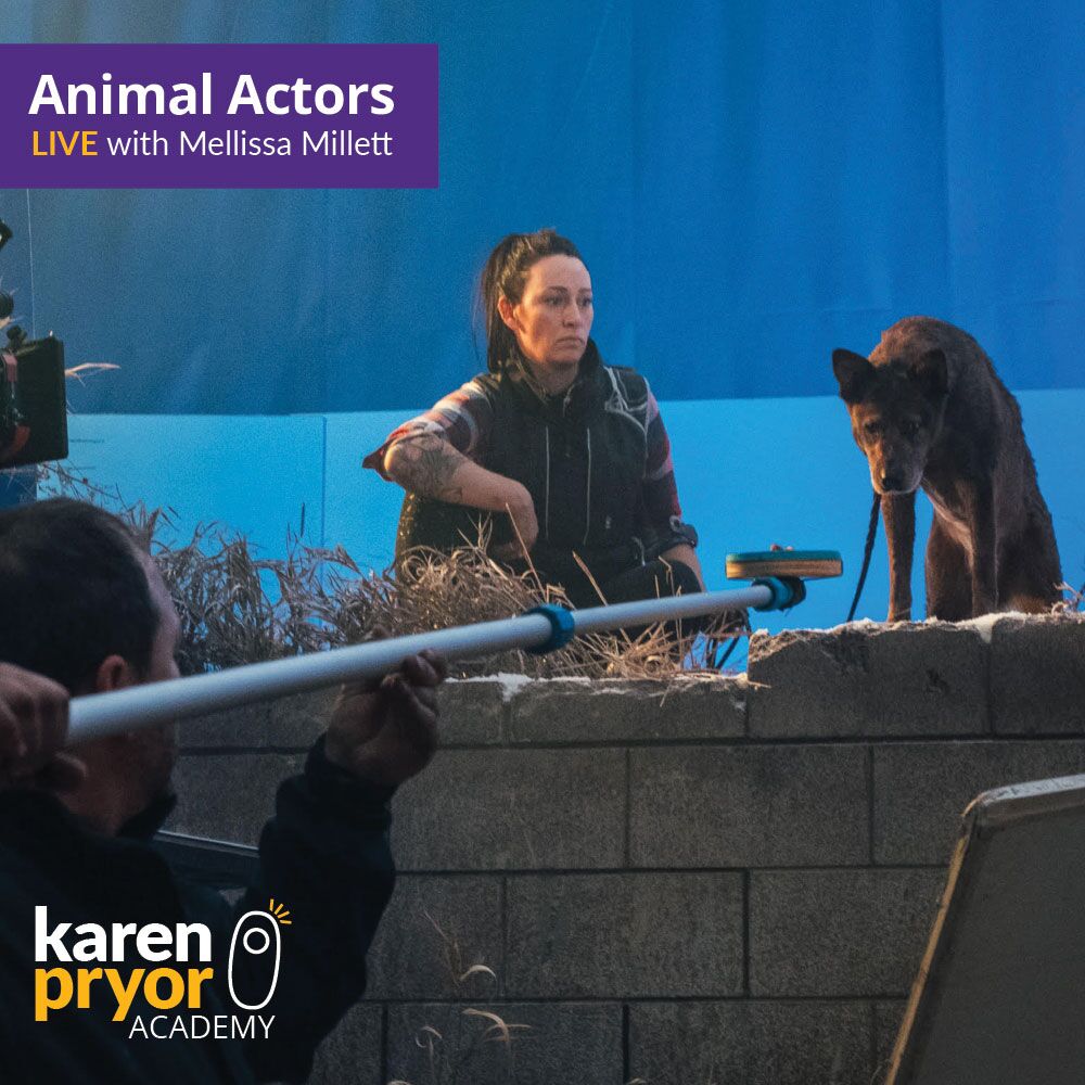 KPA-Live-Classes-Animal-Actors-1000x1000
