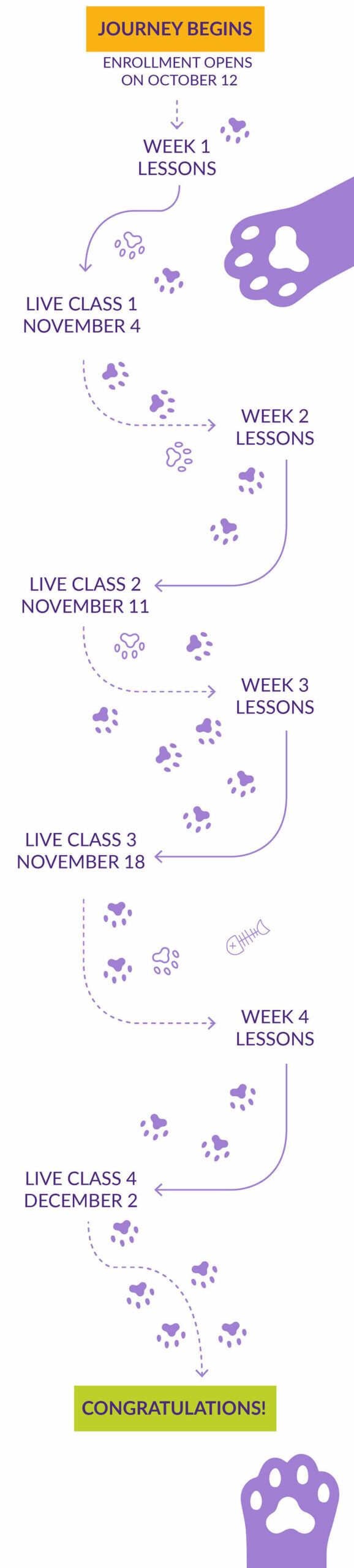 KPA-LIVE-Classes-graphics-Cat-Training-with-Melissa-Millet-900