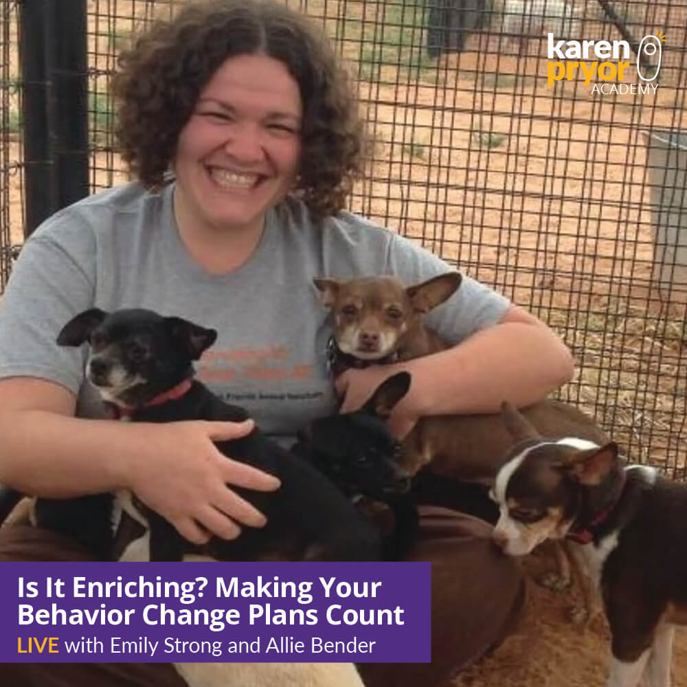 KPA-Live-Classes-Is-It-Enriching Learn with Emily