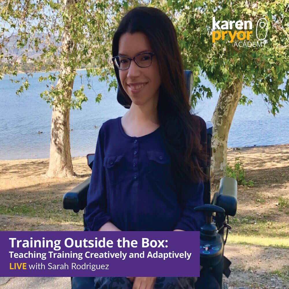 KPA-Live-Classes-Learn-with-Photo-Training-Outsite-the-Box-1000x1000