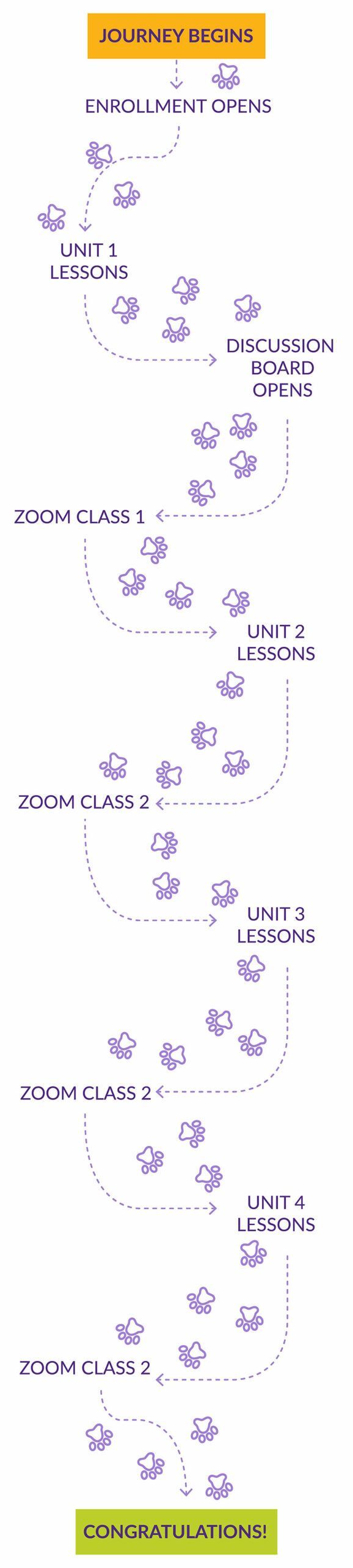 KPA-Live-Classes-Learning-Journey-Mobile