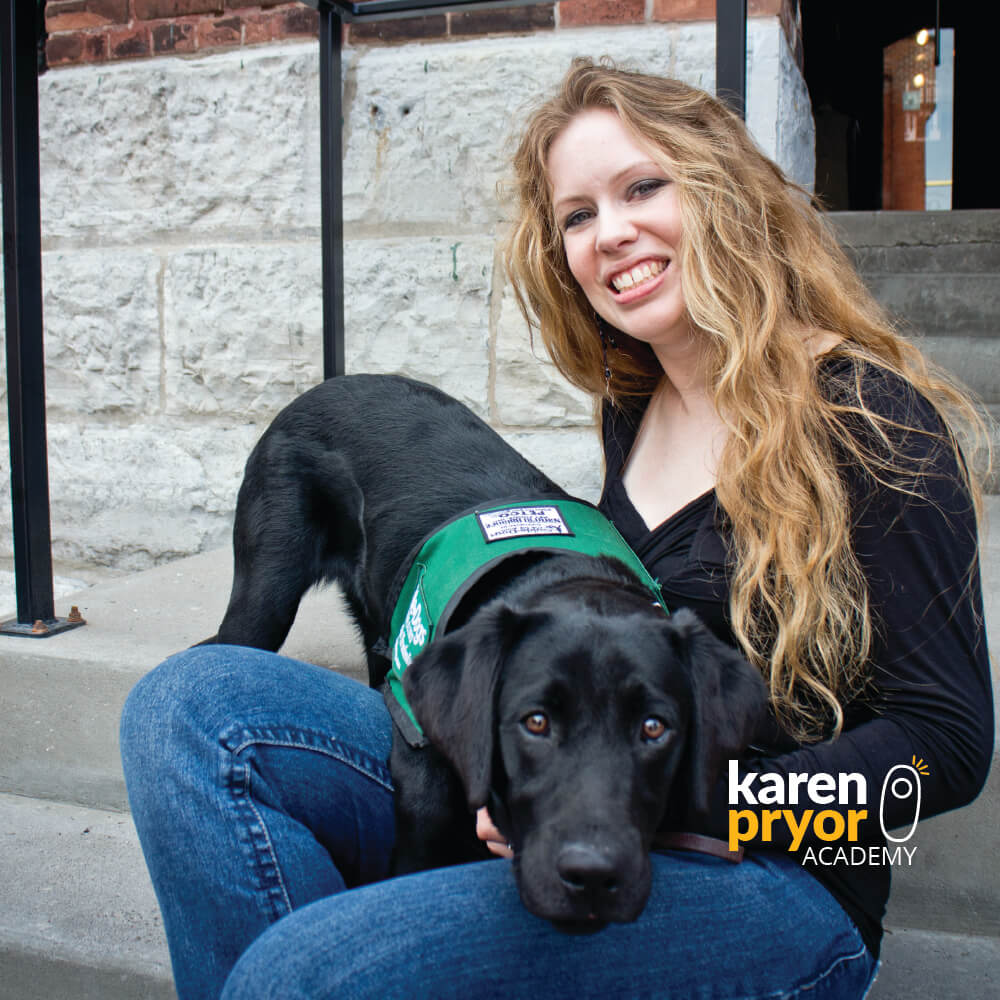 KPA Live Classes Puppy Socialization & Adolescent Dog Familiarization Learn More Plain 1000x1000