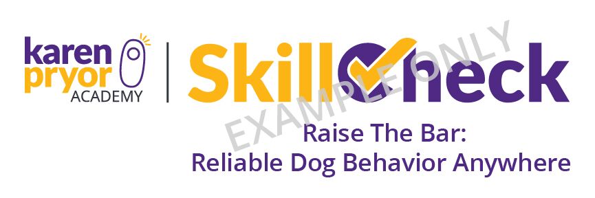 KPA Live Classes Raise the Bar Skillcheck