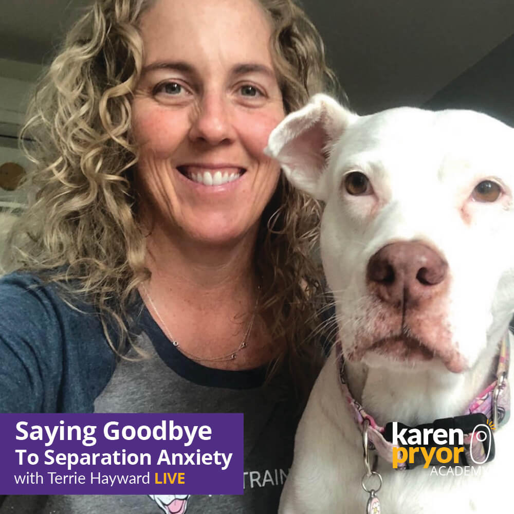 KPA Live Classes Saying Goodbye To Separation Anxiety Terrie Hayward