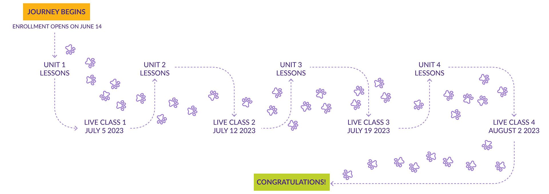 KPA Live Classes Drink with Your Dog with Amber Quann Journey