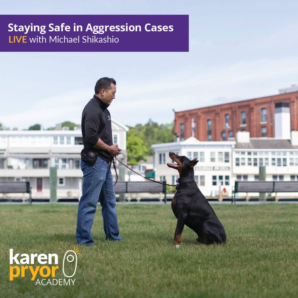 KPA Live Classes Staying Safe in Aggression Cases LIVE with Michael Shikashio