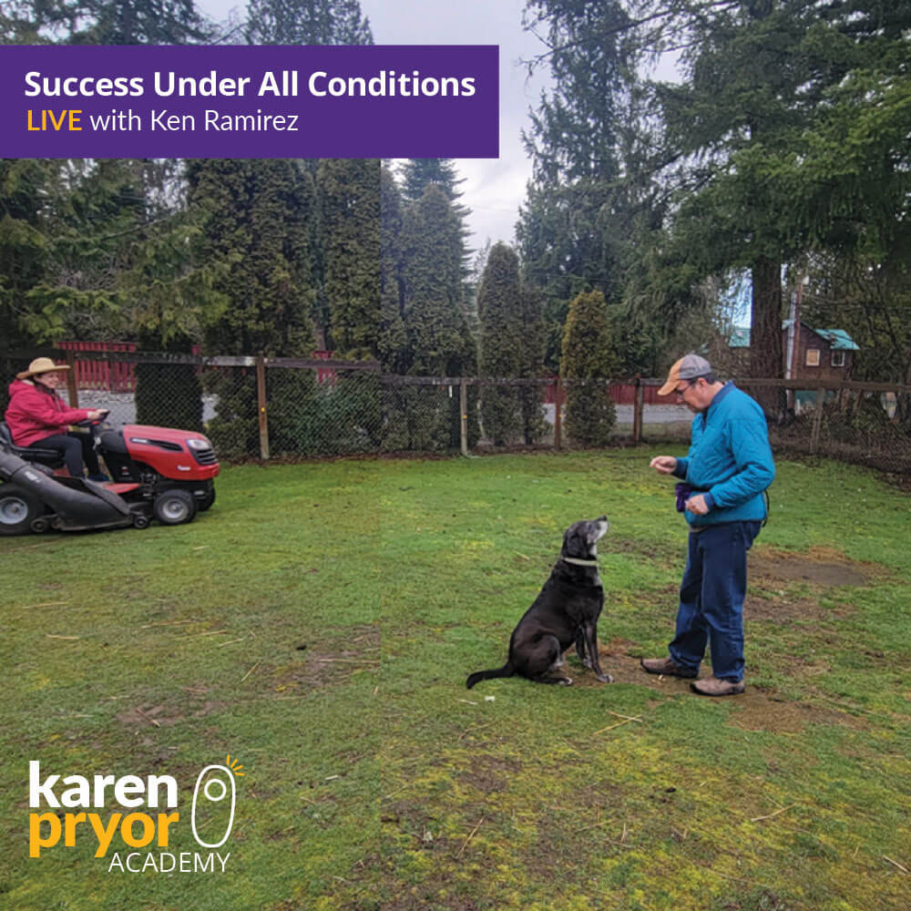 KPA-Live-Classes-Success-Under-All-Conditions-1000x1000