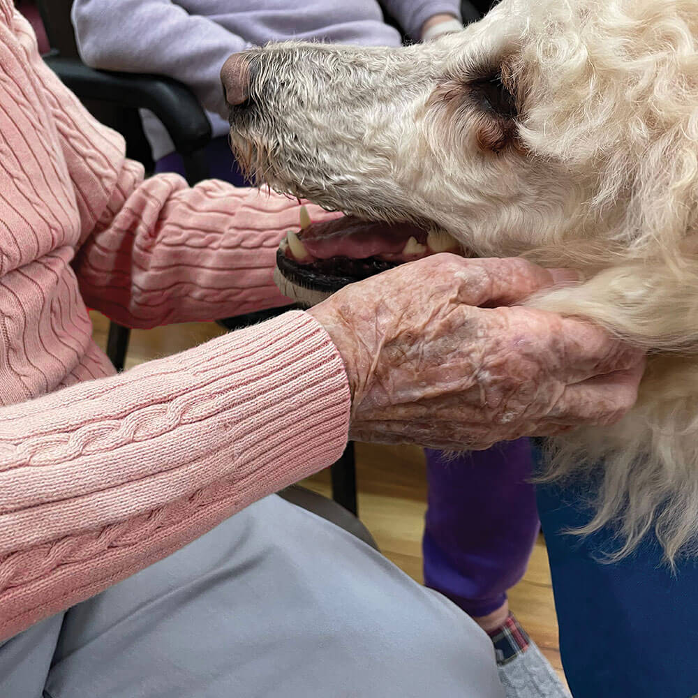 KPA-Therapy-Dog-Team-Training--Plain-1000x1000