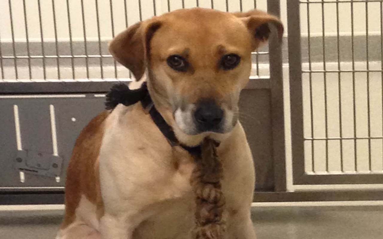 Featured image for “From Fearful to Engaged: Expanding the Training Conversation”