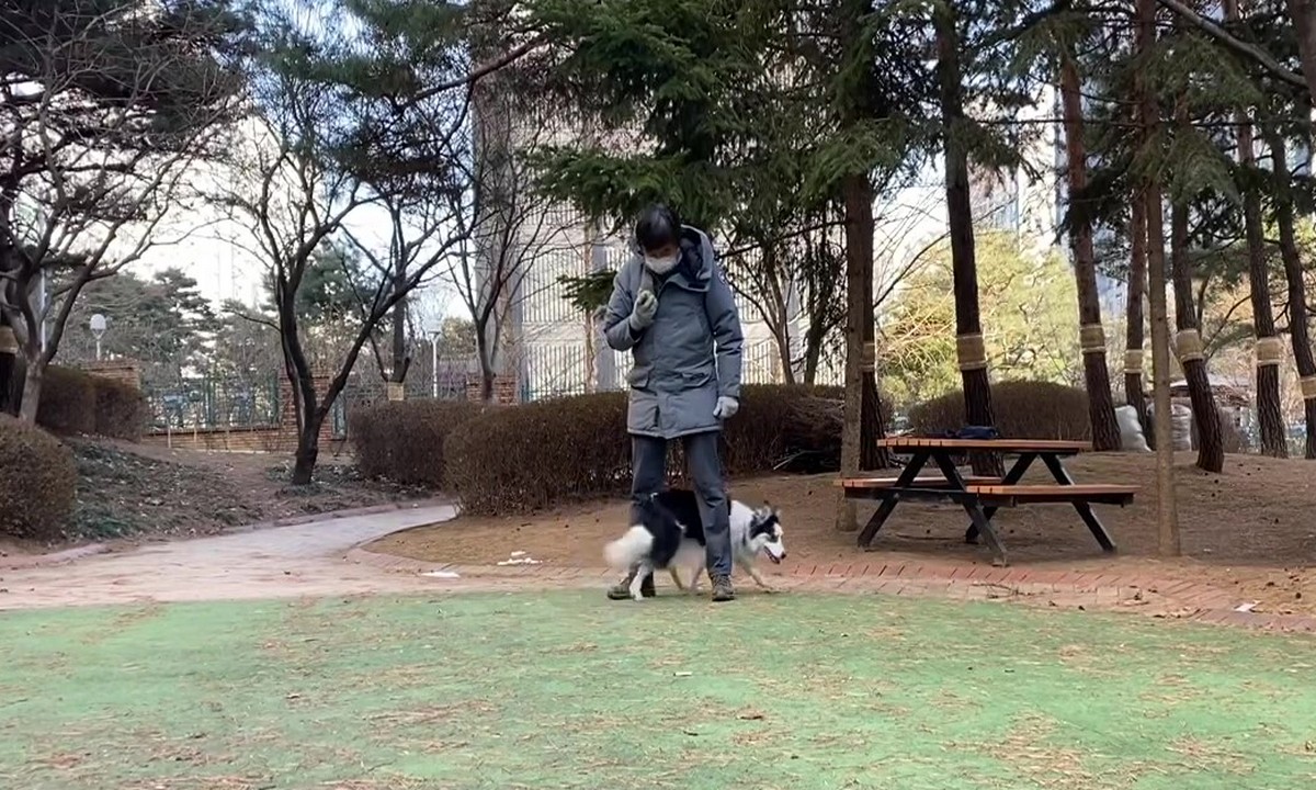 Featured image for “Modifier Cues in Action”