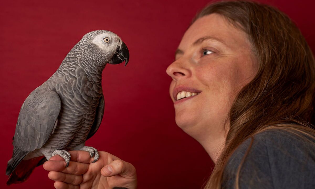 Featured image for “October KPA CTP of the Month: Robin Horemans”