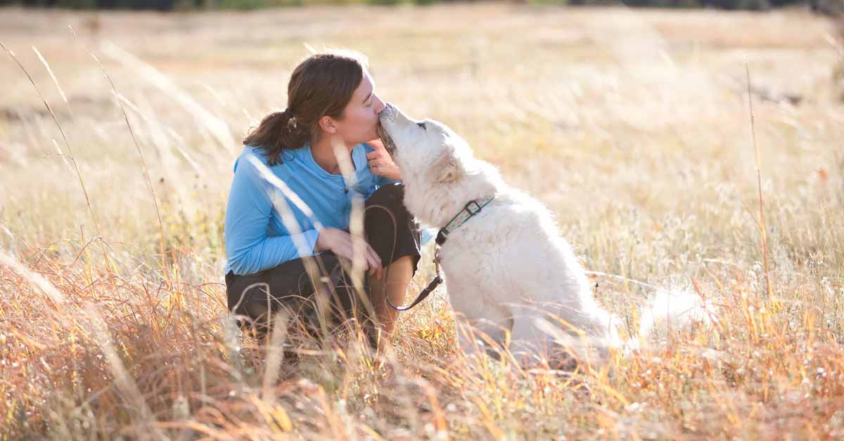 Featured image for “Interview With KPA Faculty Member Shelly Brouwer”