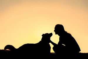 Featured image for “AVSAB Advocates for Humane, Reward-Based Training”