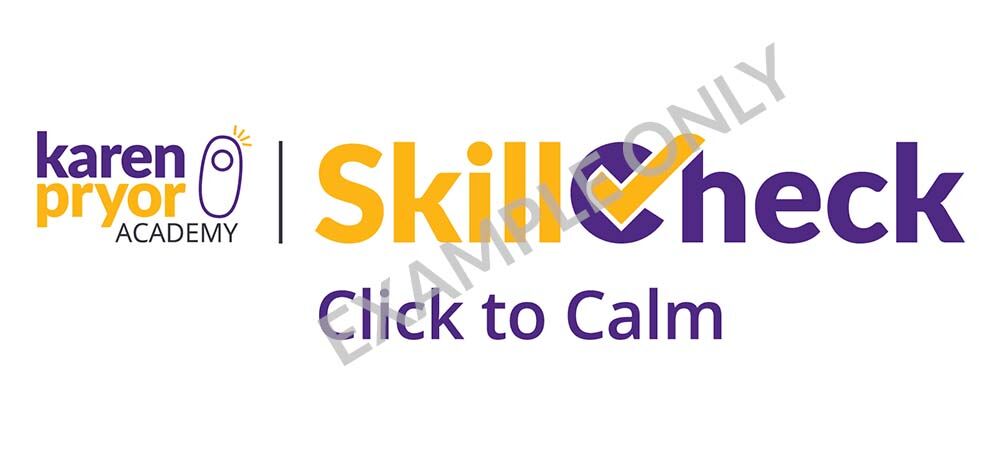 Skill-Check-CTC-Example-Only