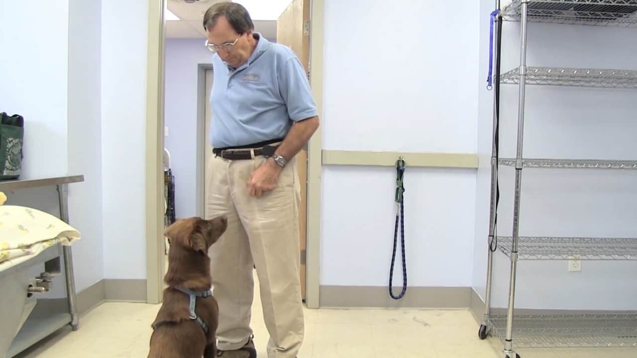 Featured image for “How to Capture a Sit”